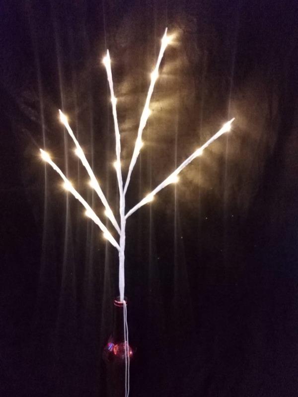 LED Ornament